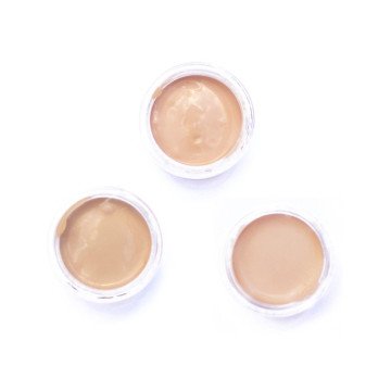 SAMPLES - Fruit pigmented Water foundation (hydration + antioxidants)