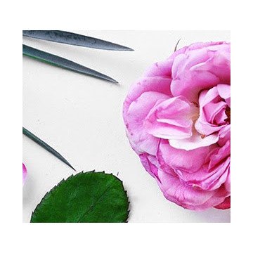 100% Pure E-Gift CARD 25€