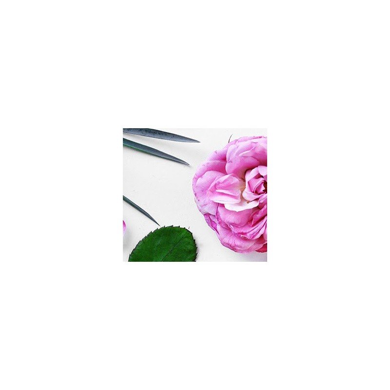 100% Pure E-Gift CARD 50€