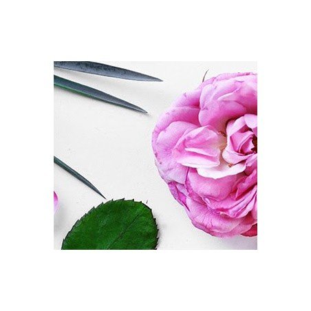 100% Pure E-Gift CARD 25€