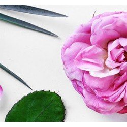 100% Pure E-Gift CARD 25€