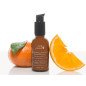 Multi-Vitamin + Antioxidants Potent PM Serum