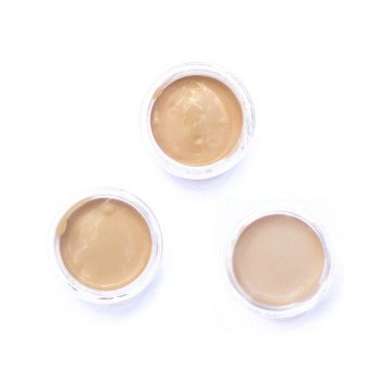 SAMPLES - Fruit pigmented tinted moisturizer with SPF20