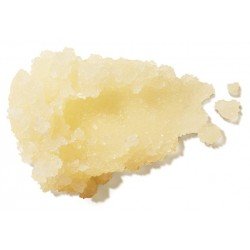 Honey Almond Body Scrub