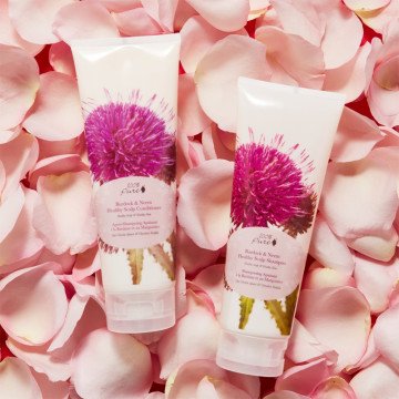 Burdock & Neem Healthy Scalp Shampoo