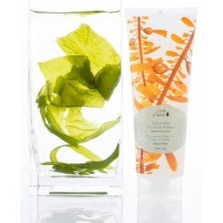 Kelp & Mint Volumizing Shampoo 