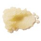 MINI Coconut Body Scrub (60g)