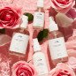Rose Water Hydrating Milk