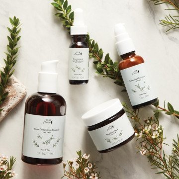 Koncentruota priemonė nuo spuogų su arbatmedžiu