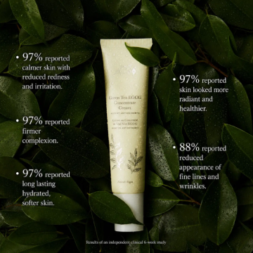 Green Tea EGCG Concentrate Cream