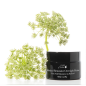 Retinol Restorative Overnight Balm