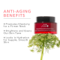 Retinol Restorative Neck Cream Retinol Restorative Neck Cream