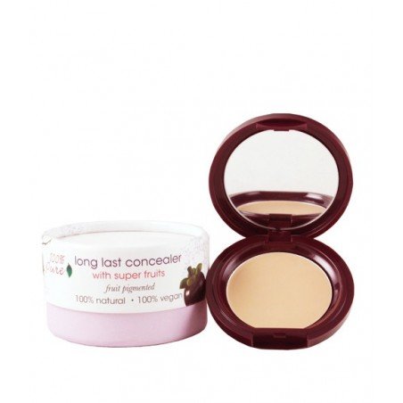Fruit Pigmented Long Last Concealer