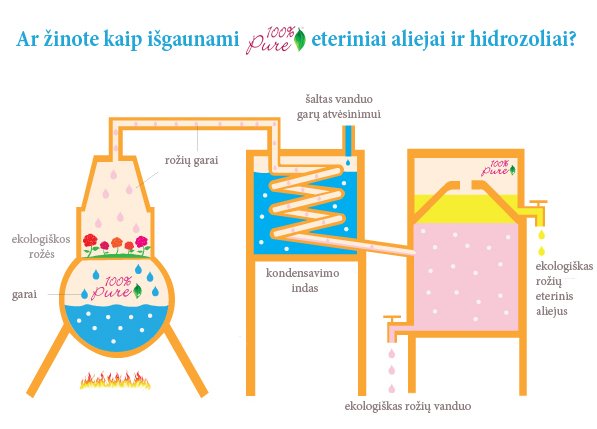 Kaip gaminami ekologiški eteriniai aliejai?